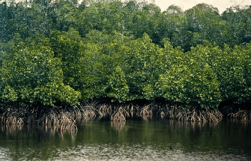 12 sites suivis pour mieux comprendre la biodiversité locale